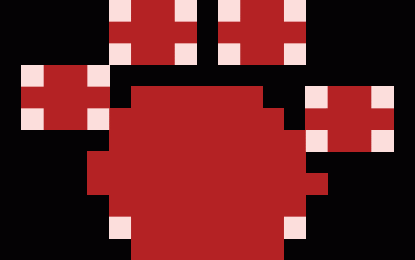 Último momento – De la lucha de los ajeros de Campo Grande