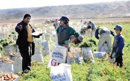 Detectan trabajo infantil en las afueras del Gran Mendoza