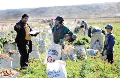 Detectan trabajo infantil en las afueras del Gran Mendoza