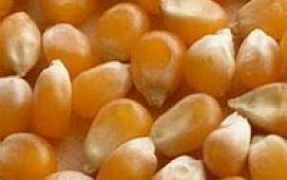 Carestía y crisis mundial de alimentos: último obsequio de enriquecidos