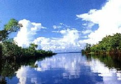 El intento de neocolonización de la Amazonia