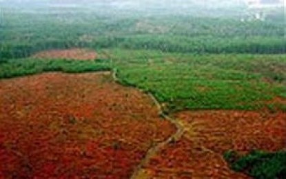 Bosques, agrocombustibles y las políticas del hambre