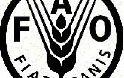 Pan y diésel: la FAO comprometida con el despilfarro
