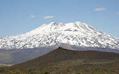 Niegan que el proyecto Potasio Río Colorado esté por ser aprobado