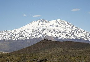 Niegan que el proyecto Potasio Río Colorado esté por ser aprobado