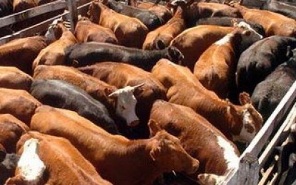 Gremio de la carne dice que peligran 5.800 puestos si no se hace cumplir Ley de Reinspección Higiénica Sanitaria