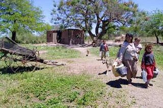 El gobierno del Chaco permitirá el desmonte de un millón de hectáreas de bosques