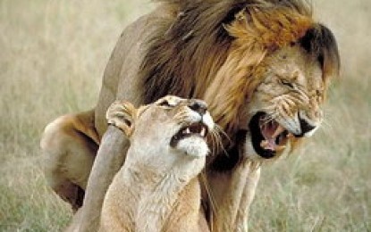 Mendoza en cifras: leones, ansiolíticos, chorros, etc.