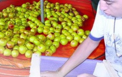 Productores piden medidas al gobierno para salvar la actividad frutícola