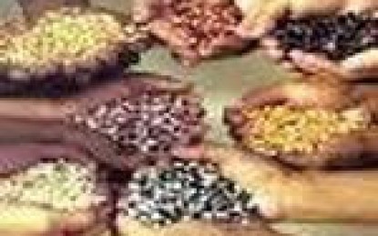 Argentina: Por un lugar para la agricultura familiar dentro del INTA