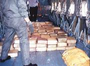 Bolivia fortalecerá en 2009 su respuesta al narcotráfico