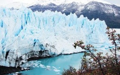 Crónica de una insistencia