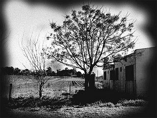 Confirmaron que hallaron restos óseos cremados en un centro clandestino de detención
