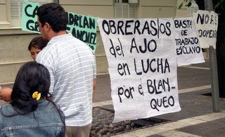 Explotación infantil y persecución gremial a los trabajadores del ajo