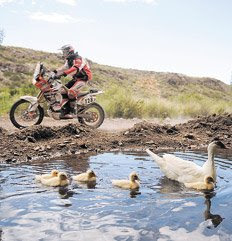 Dakar, un rally que levanta mucha polvareda