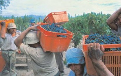 La vendimia y los vendimiadores