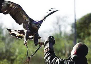 En Mendoza hay especies muy raras en peligro de extinción