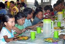 Los protegen del trabajo infantil en las fincas