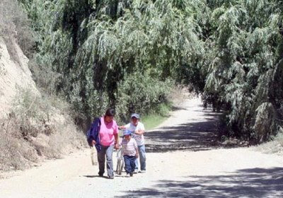 Tunuyán: Una lucha para obtener agua y subsistir en medio del campo