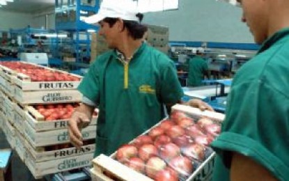 Empleo: hay ajustes en la industria, los exportadores y los temporarios