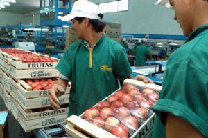 Empleo: hay ajustes en la industria, los exportadores y los temporarios