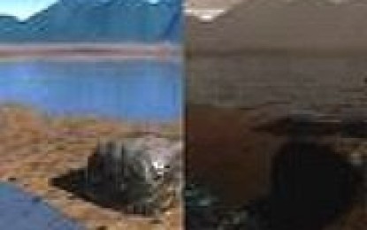 “En Internet están los estragos de las mega mineras”