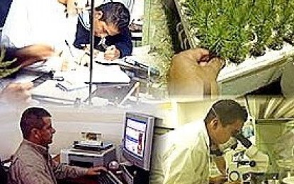 Voces de alerta