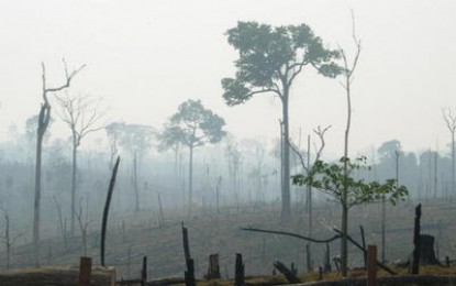 La amazonia brasileña en el umbral de una nueva era