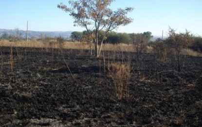 Movilización para el tratamiento y aprobación de la ley de ordenamiento territorial de bosques nativos