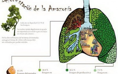 Brasil profundo: “los indios son los verdaderos guardianes del bosque amazónico”
