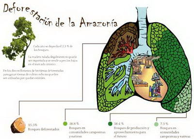 Brasil profundo: “los indios son los verdaderos guardianes del bosque amazónico”