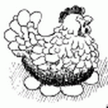 De gallinas, Darwin y la Secretaría de Cultura