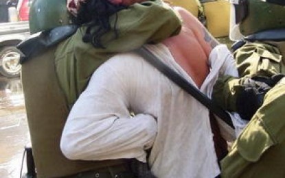 La guerra contra los mapuches