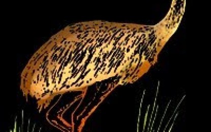 El avestruz y el quirquincho