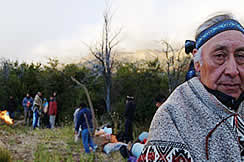 Terremoto grado cuatro años