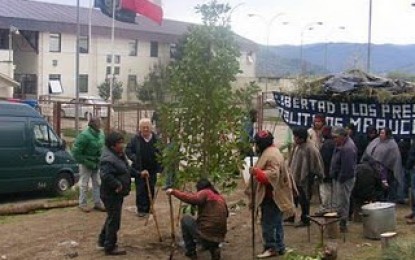 Comunicado público prisioneros políticos mapuche en huelga de hambre