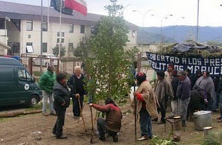 Comunicado público prisioneros políticos mapuche en huelga de hambre