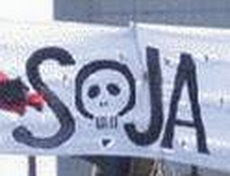 Argentina, la primavera y la soja transgénica