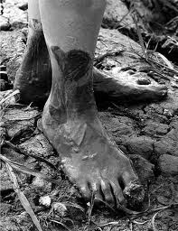 Los pies en el barro