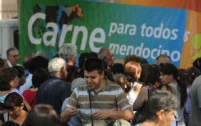 Carnívoros