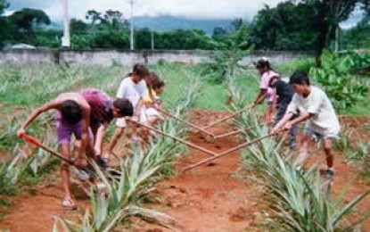 Trabajo infrahumano en la Mendoza viñatera
