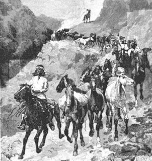 Gerónimo: el lobo del desierto (I)