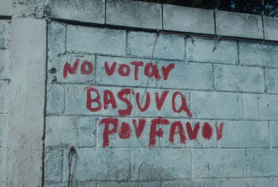 Su santidad el voto (I)