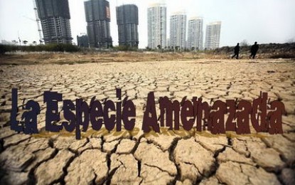 La especie amenazada