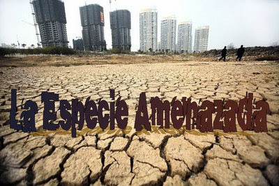 La especie amenazada