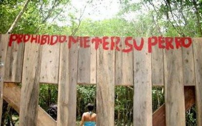 La tragedia de Once y el silencio atronador de la presidenta