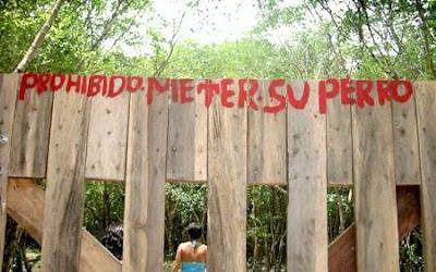 La tragedia de Once y el silencio atronador de la presidenta