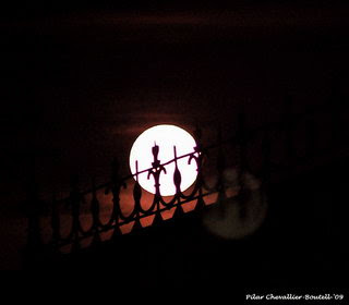 Luna cautiva