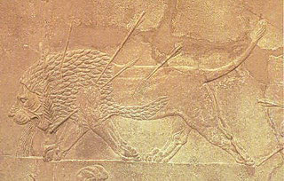 La bestia herida es más peligrosa