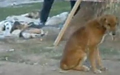 Tres grados bajo cero, atacan a los “sin techo”